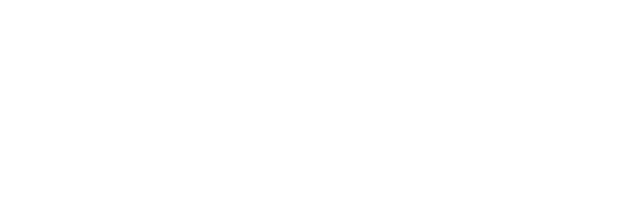 Referenzen - Syntax - Vertrauensvolle Zusammenarbeit - Genesis Motor Switzerland