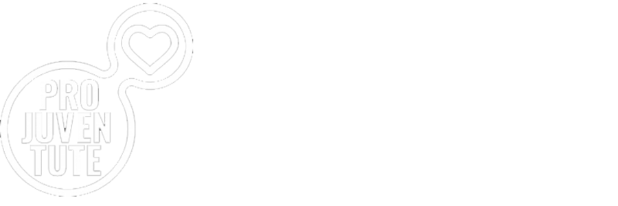 Referenzen - Syntax - Vertrauensvolle Zusammenarbeit - Pro Juventute